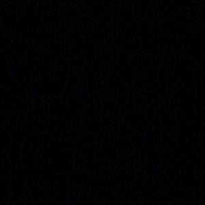 Meet your Posher, Tanner